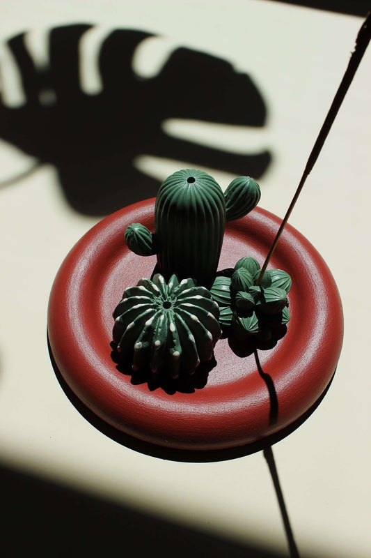 acquired taste bundle set - cactus plants incense stick holder and ash catching coaster