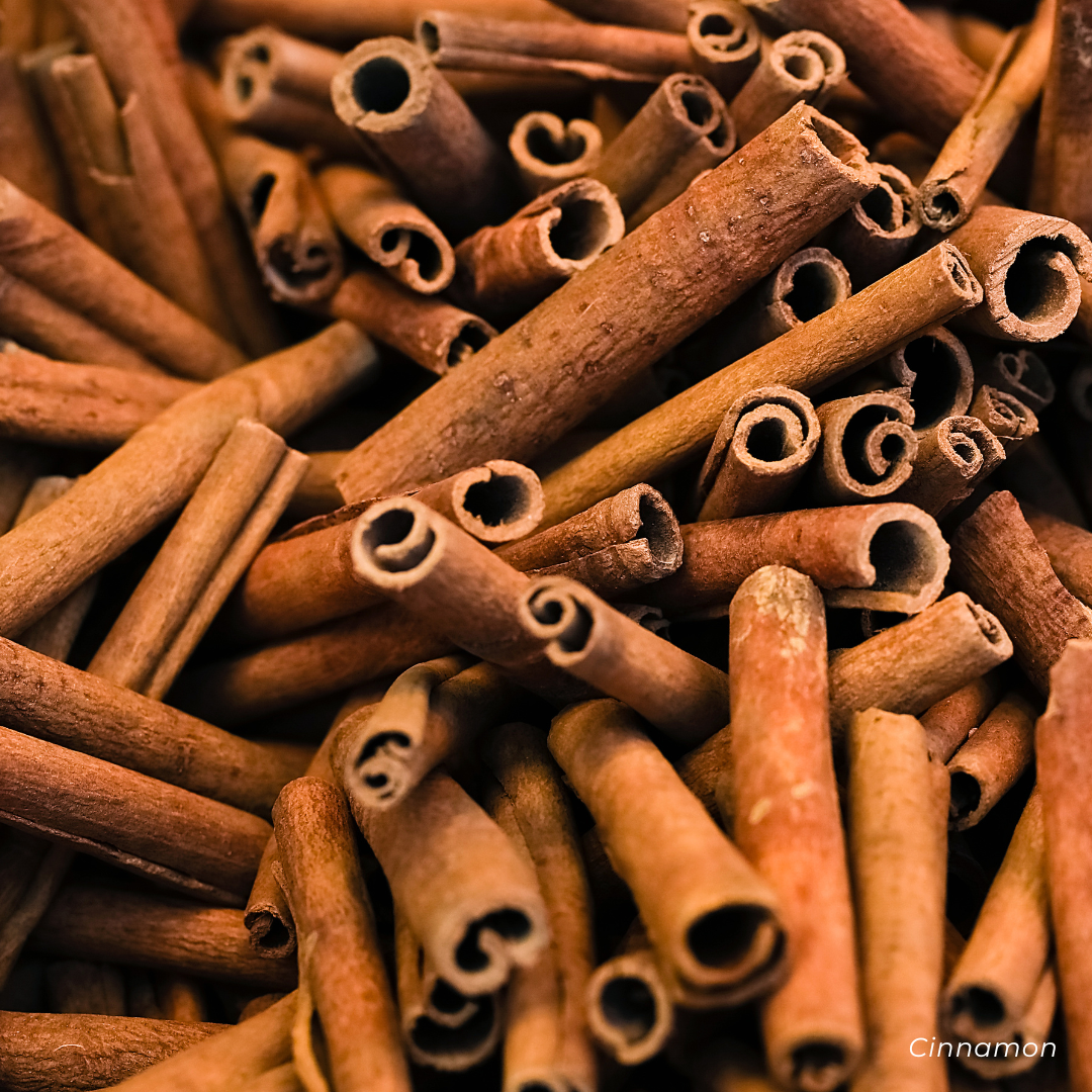 Cinnamon sticks in a bundle