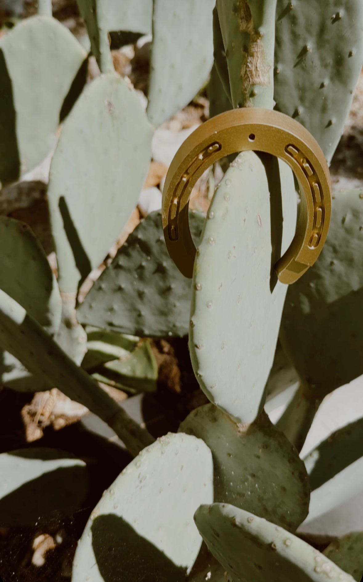 Lucky charm incense holder in the shape of a horseshoe on a cactus