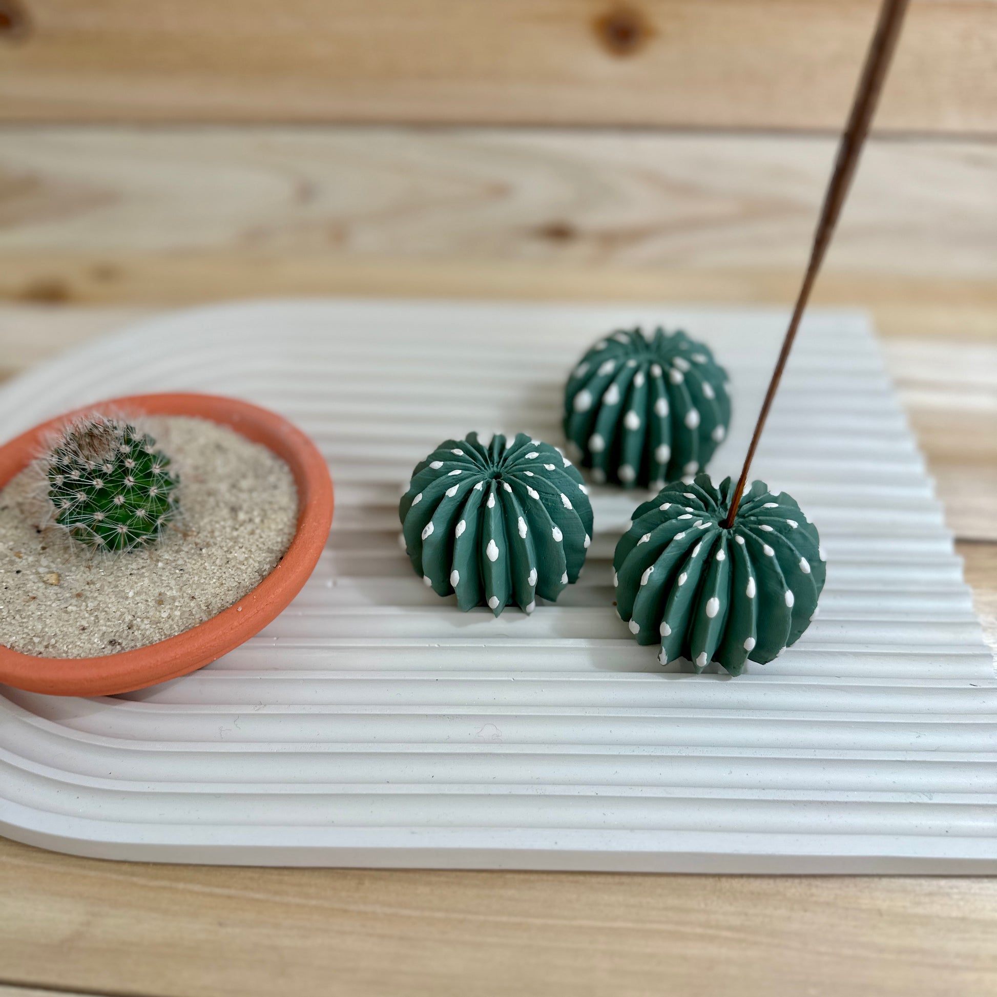 Picture of four domino cactus incense holders on a tray with an incense top view