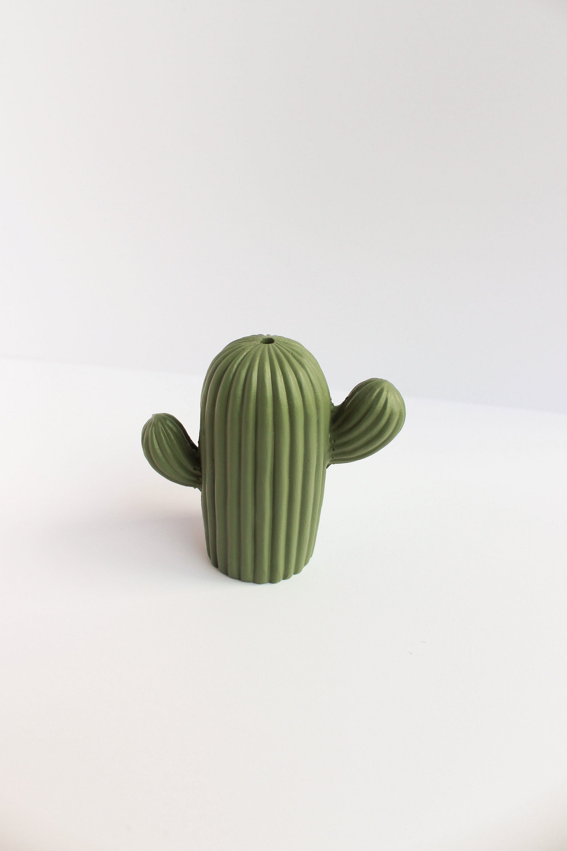 acquired taste cactus charm incense stick holder in the shape of a cactus, flat background