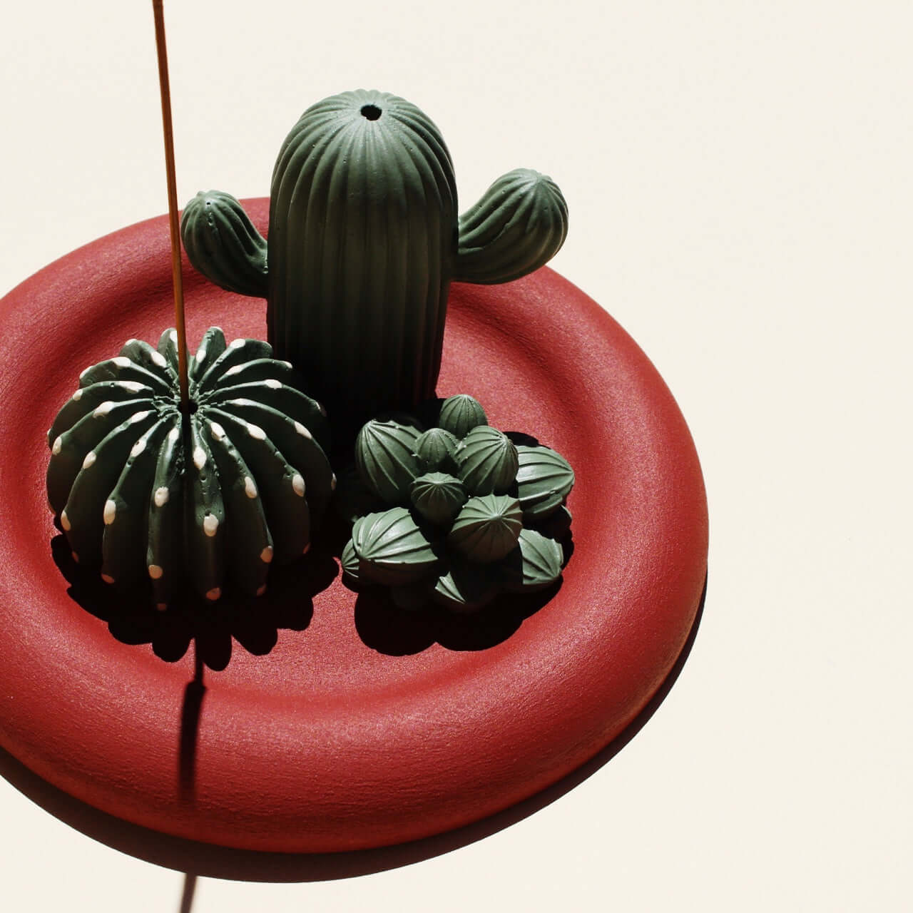 Acquired Taste Plant Lover Bundle: Cactus, Domino, Succulent + Coaster for catching ashes