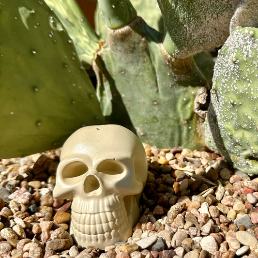 Bone skull incense stick holder