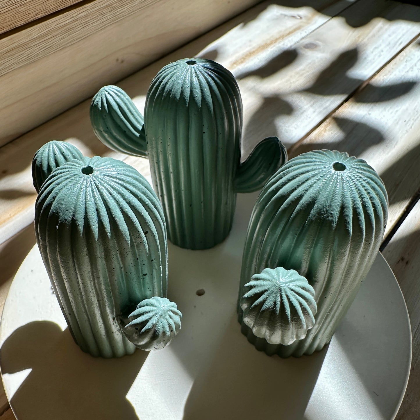 incense holder of 3 cactus standing up