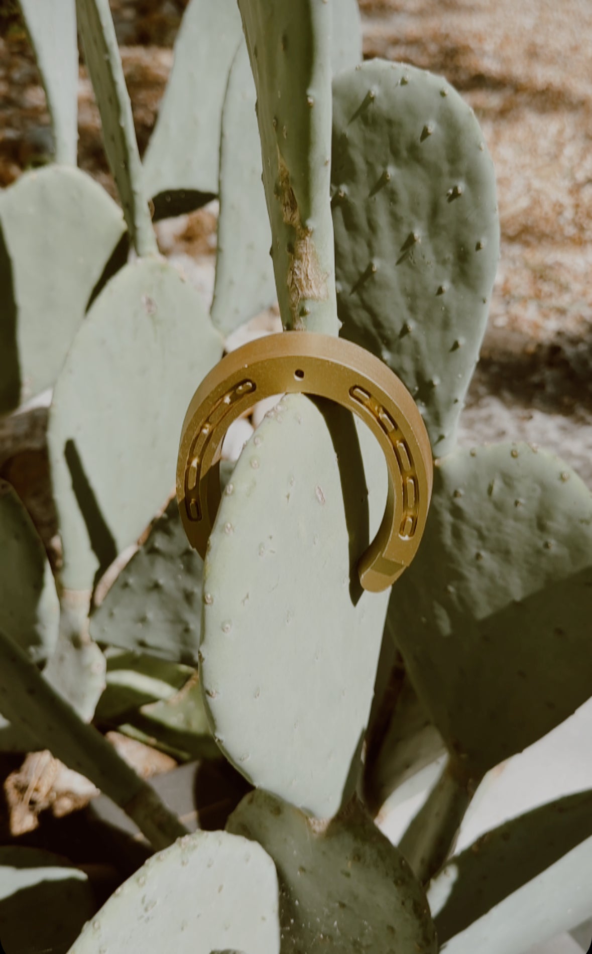 Lucky charm incense holder in the shape of a horseshoe on a cactus side view