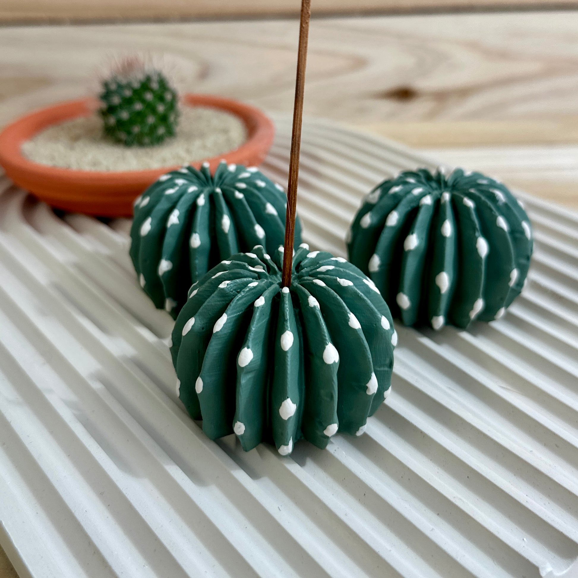 Picture of four Domino cactus incense holders on a tray close up