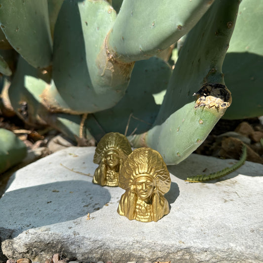 One incense holder next to cactus side view