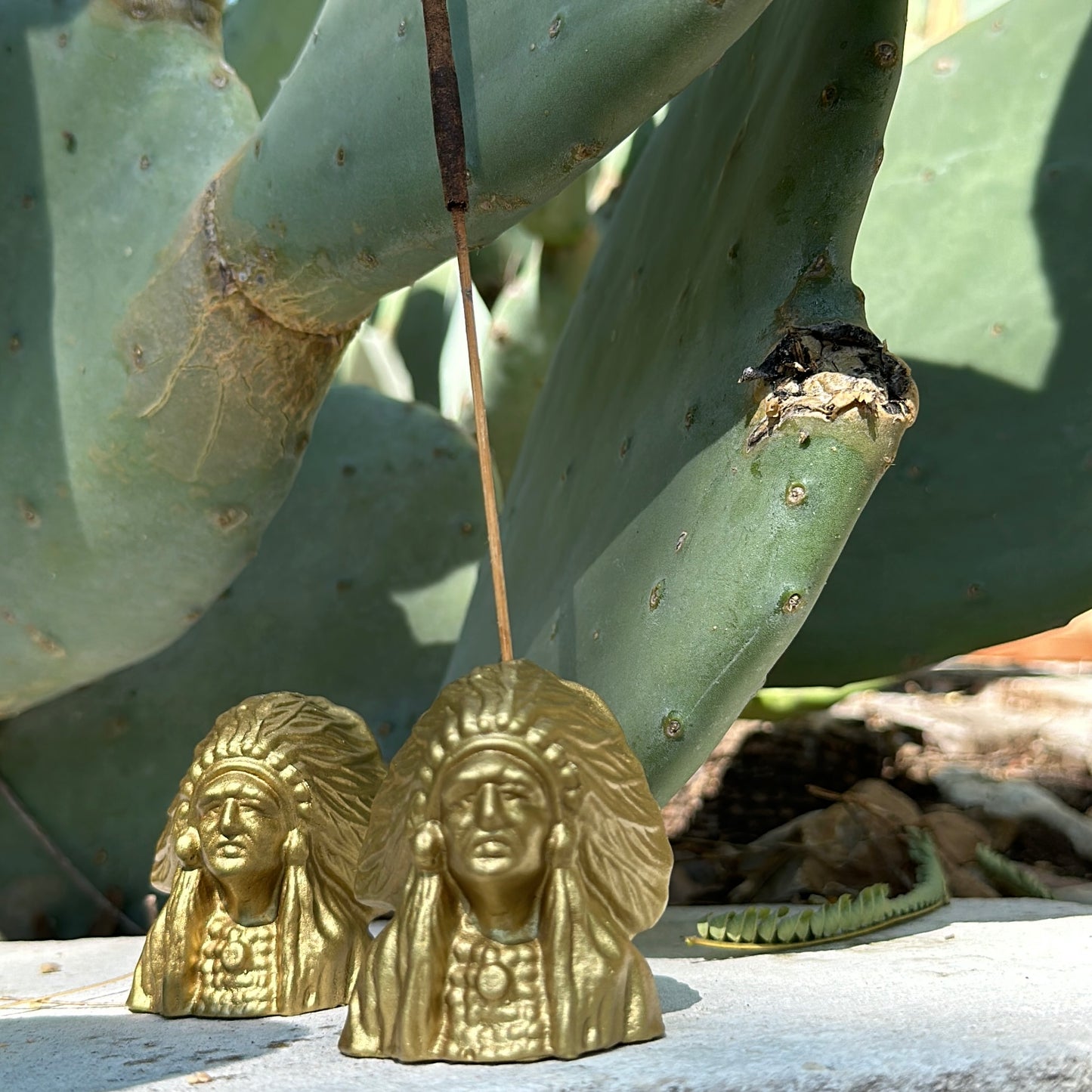 Two incense holders next to cactus