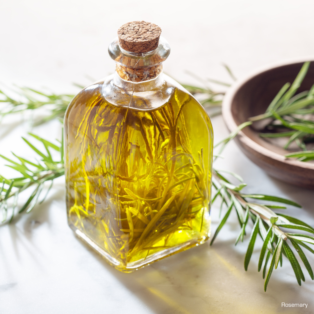 A bottle of Rosemeyer oil with rosemary branches behind it