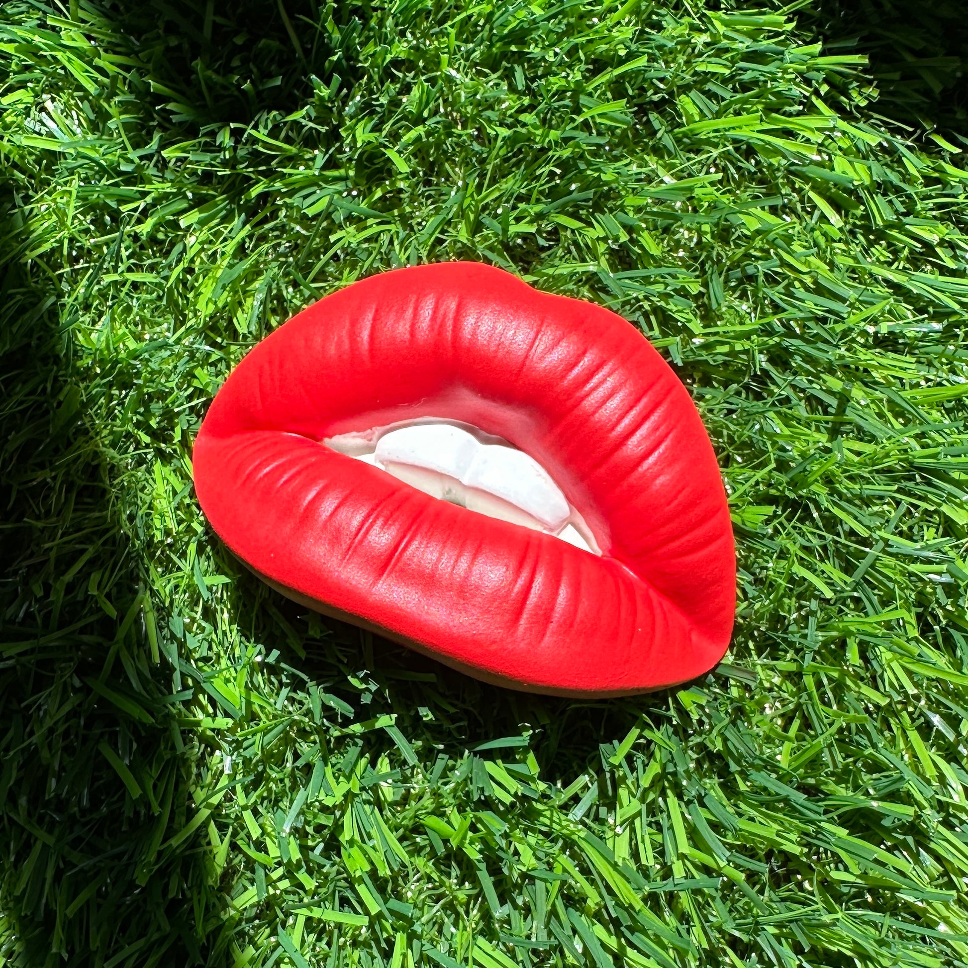 Lips incense holder on the grass