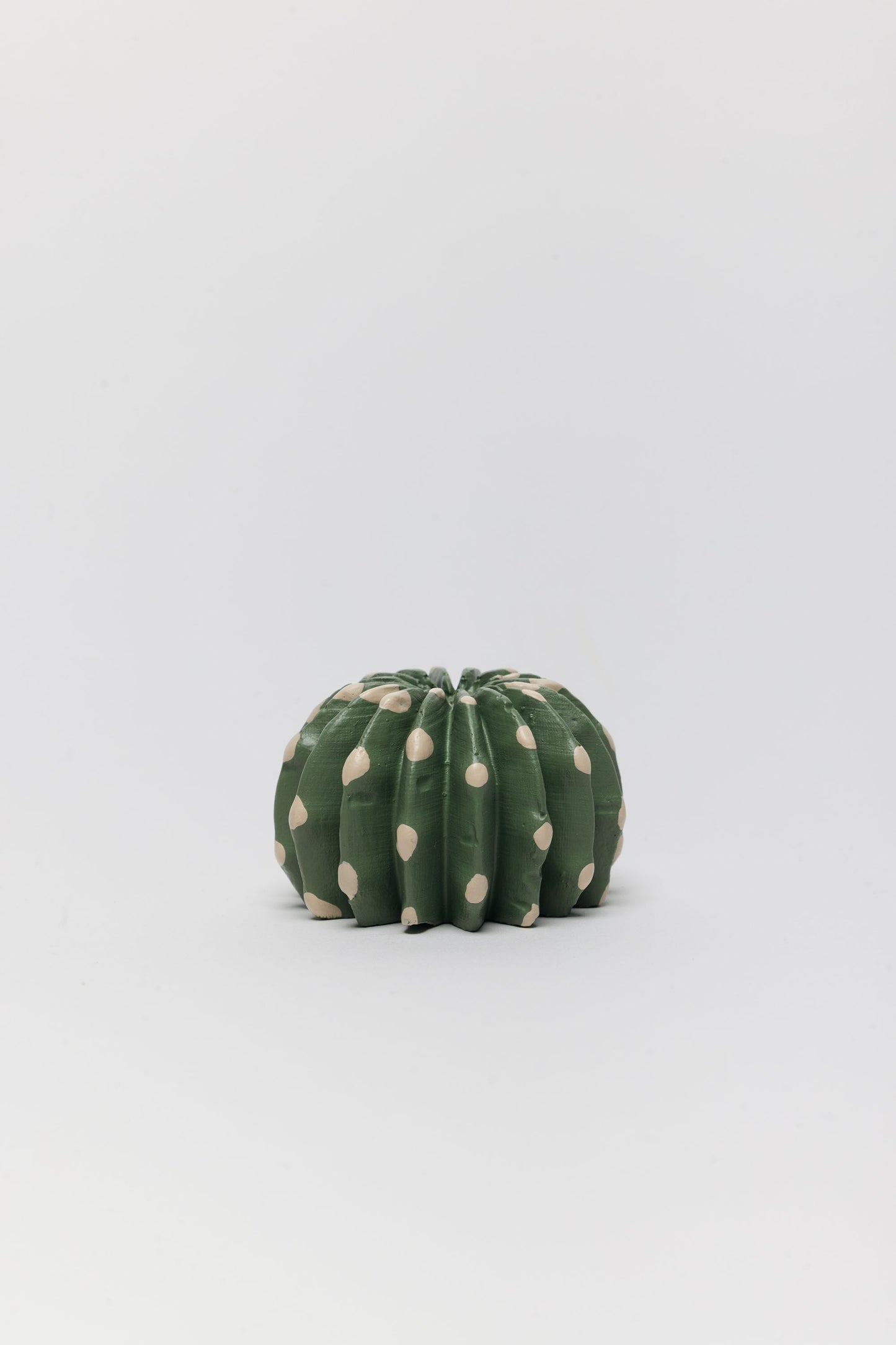 Small green cactus with white spots on a light gray background