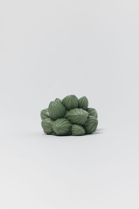 Succulent Incense Stick Holder