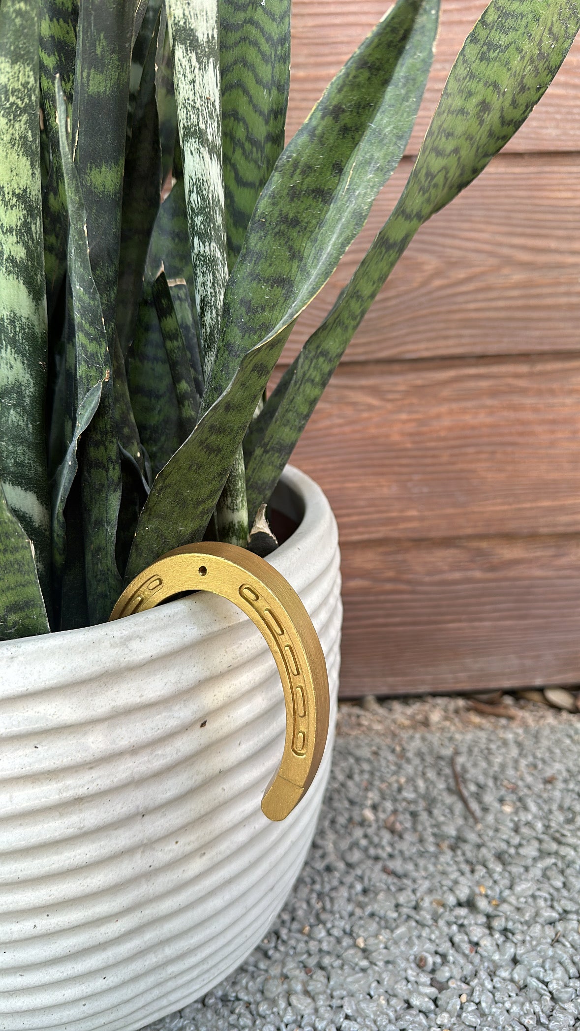 Lucky charm incense holder in the shape of a horseshoe on a pot with a plant