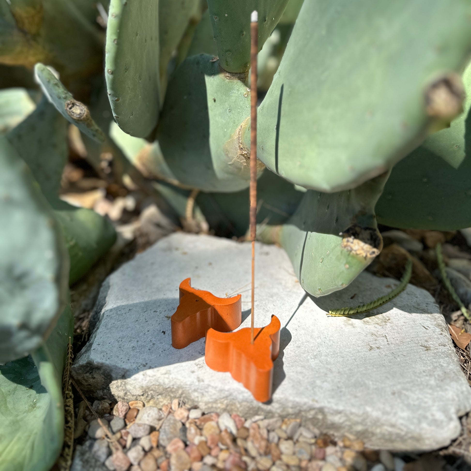 Two Longhorn incense stick holder with incense 